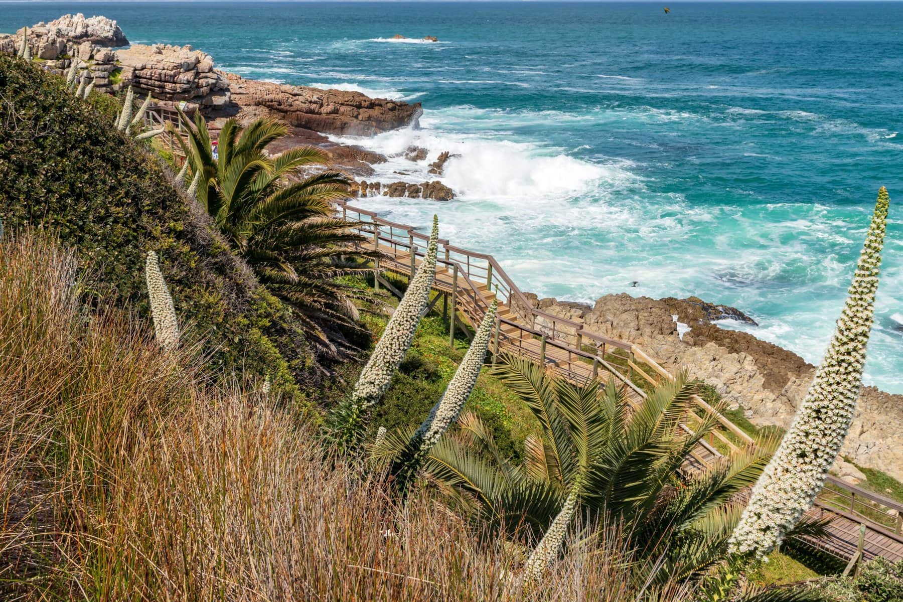 Hermanus, South Africa