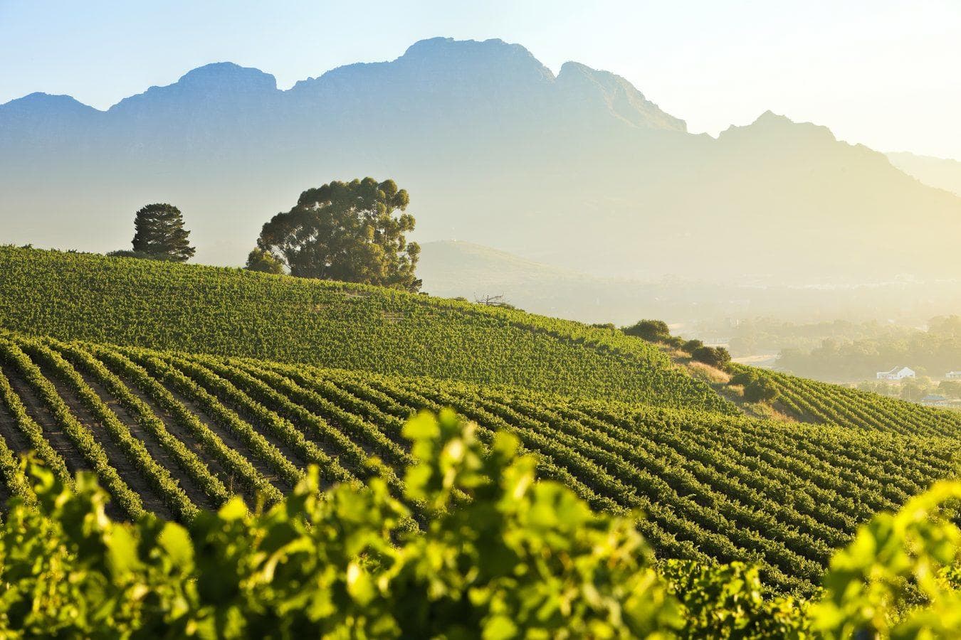  Franschhoek, South Africa