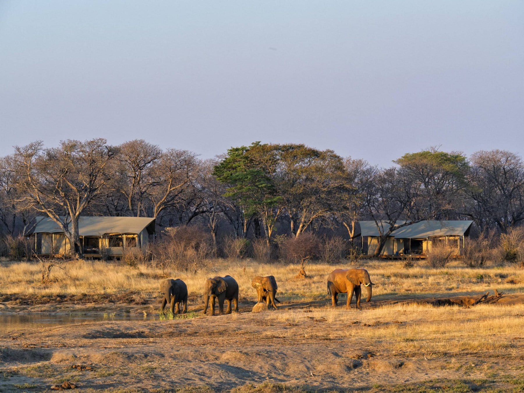 Hwange National Park