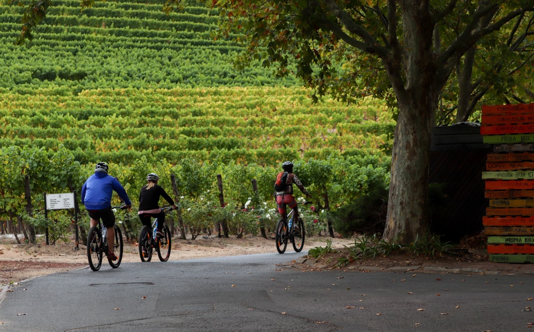 Bike _ Hike - Constantia Valley Cycle (3)