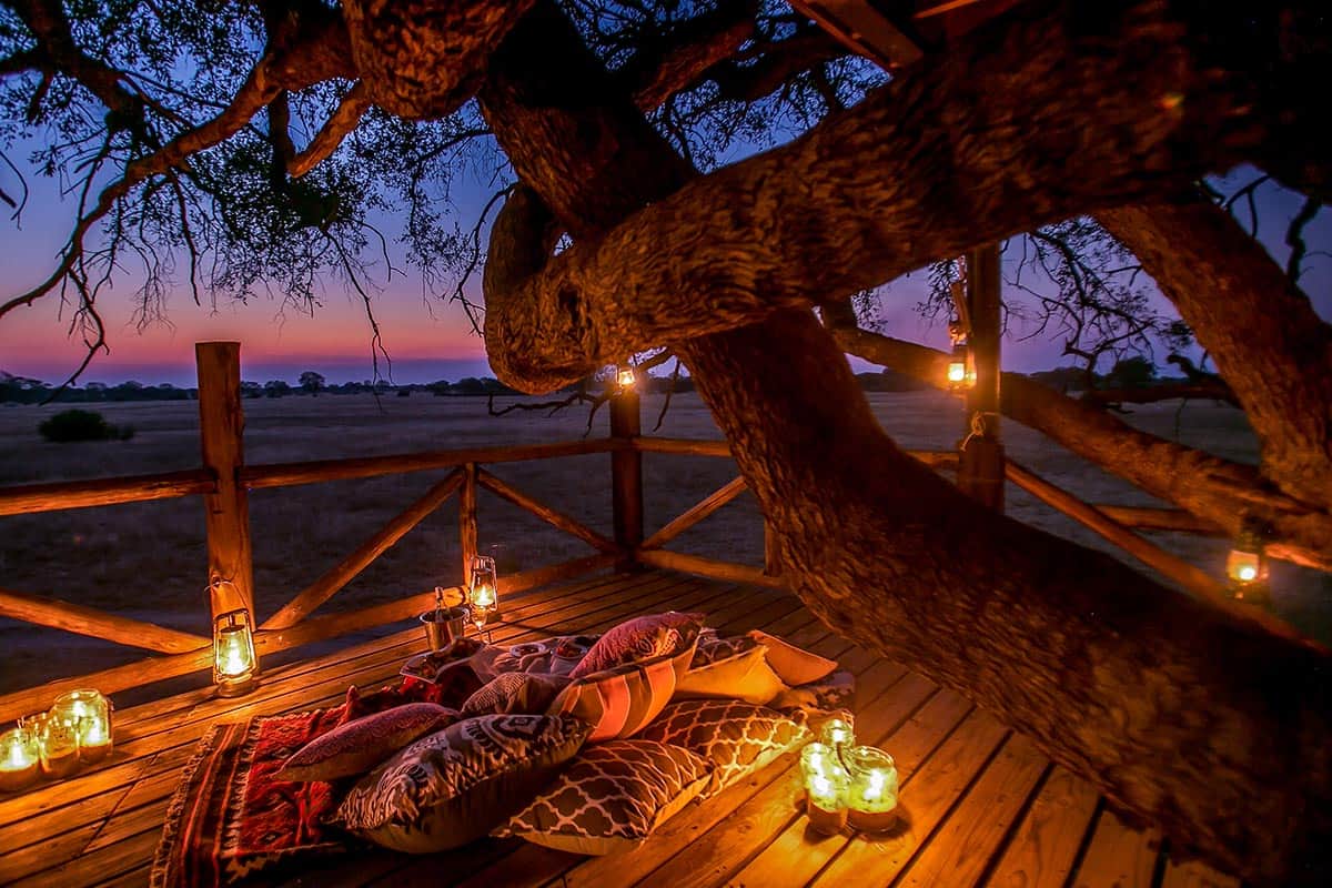 Doves-Nest-LP-16-of-24