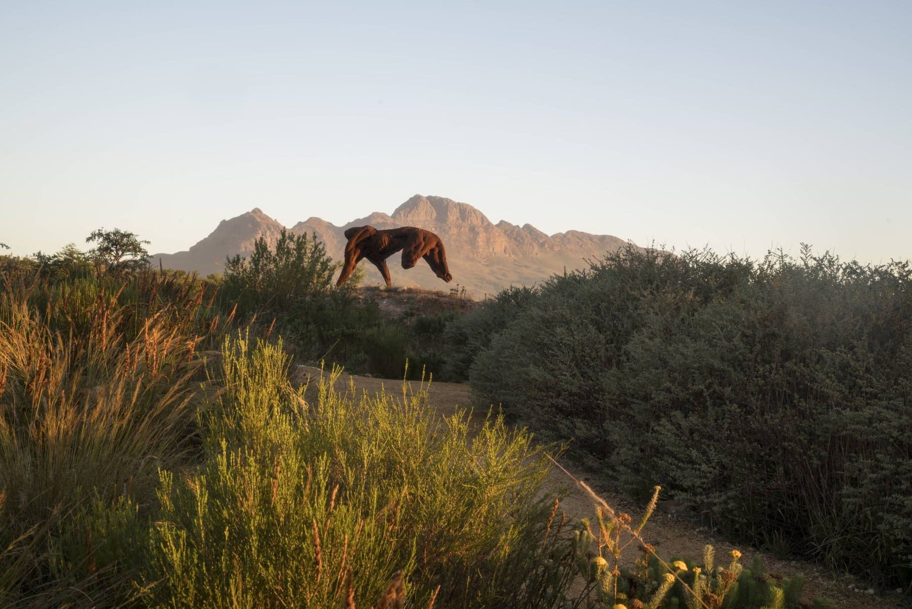 Dylan Lewis Sculpture Garden: a haven of tranquillity