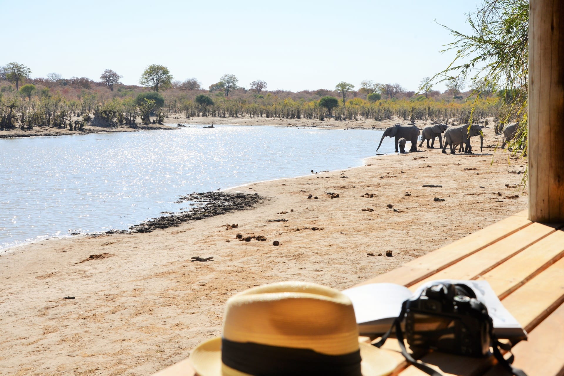 Ghoha Hills Savuti Lodge