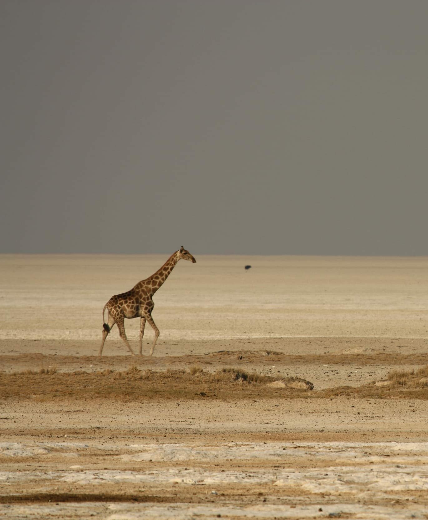 Around Etosha, Namibia