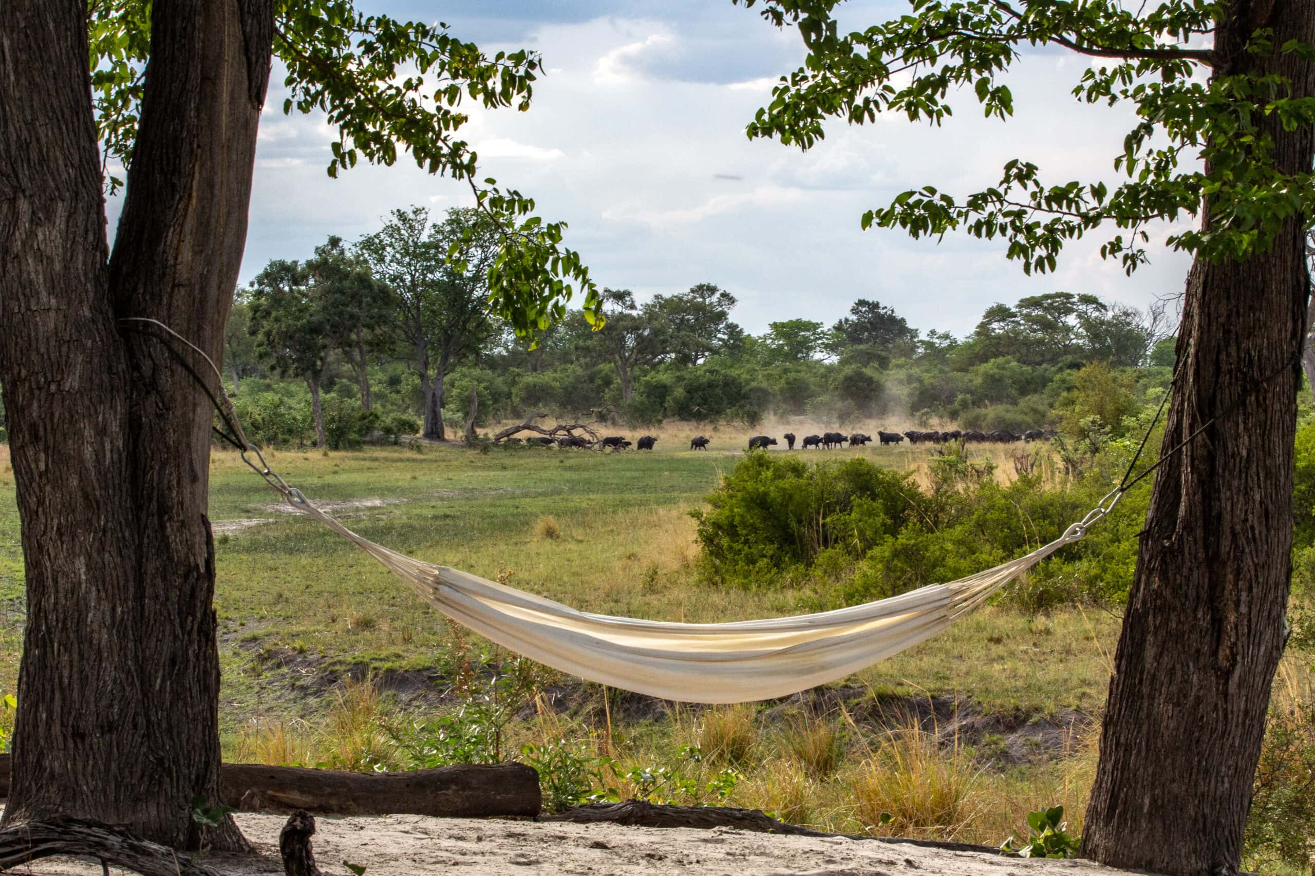 GreatPlains-Botswana - SelindaExplorersCamp-12