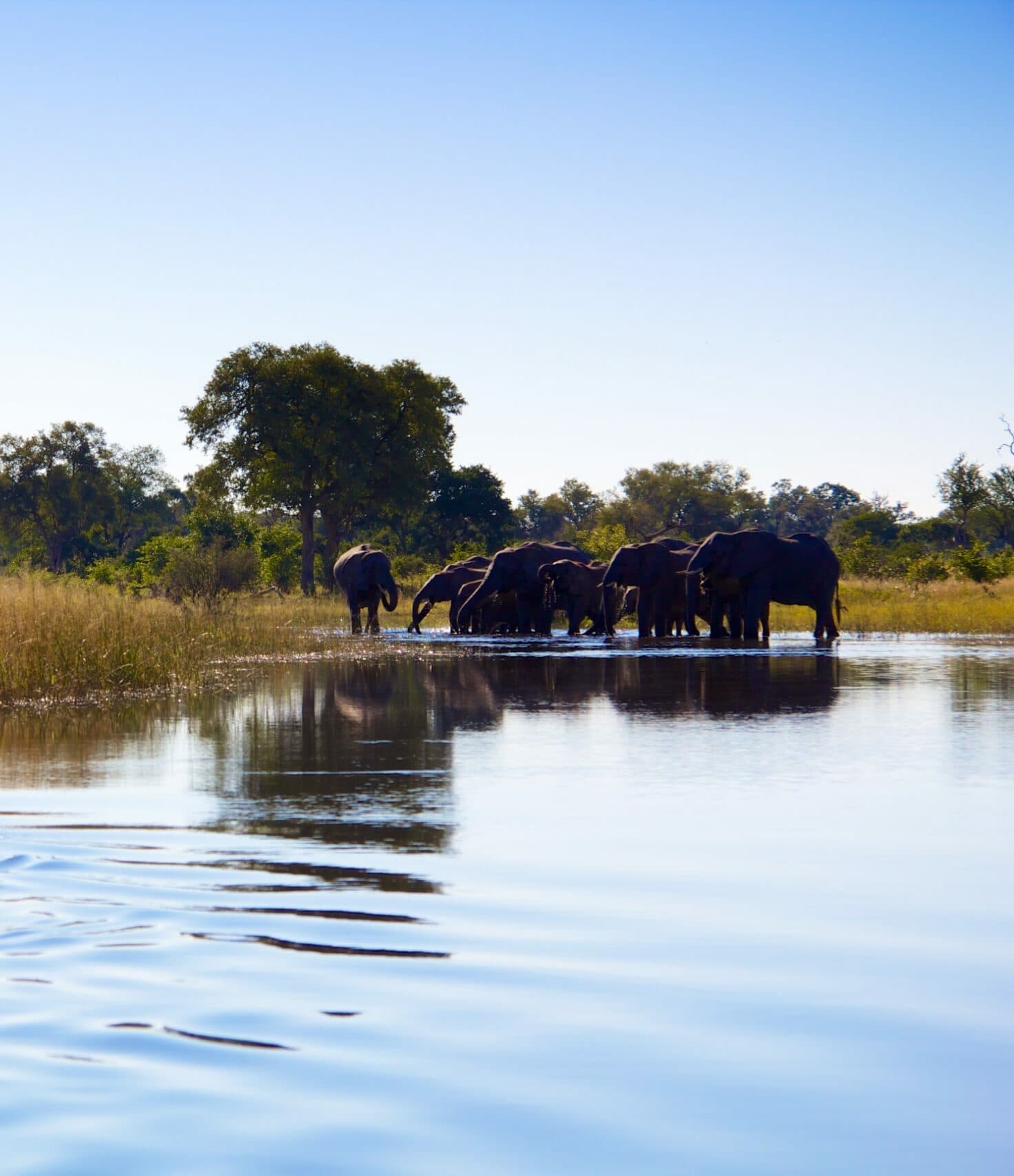 Khwai, Botswana