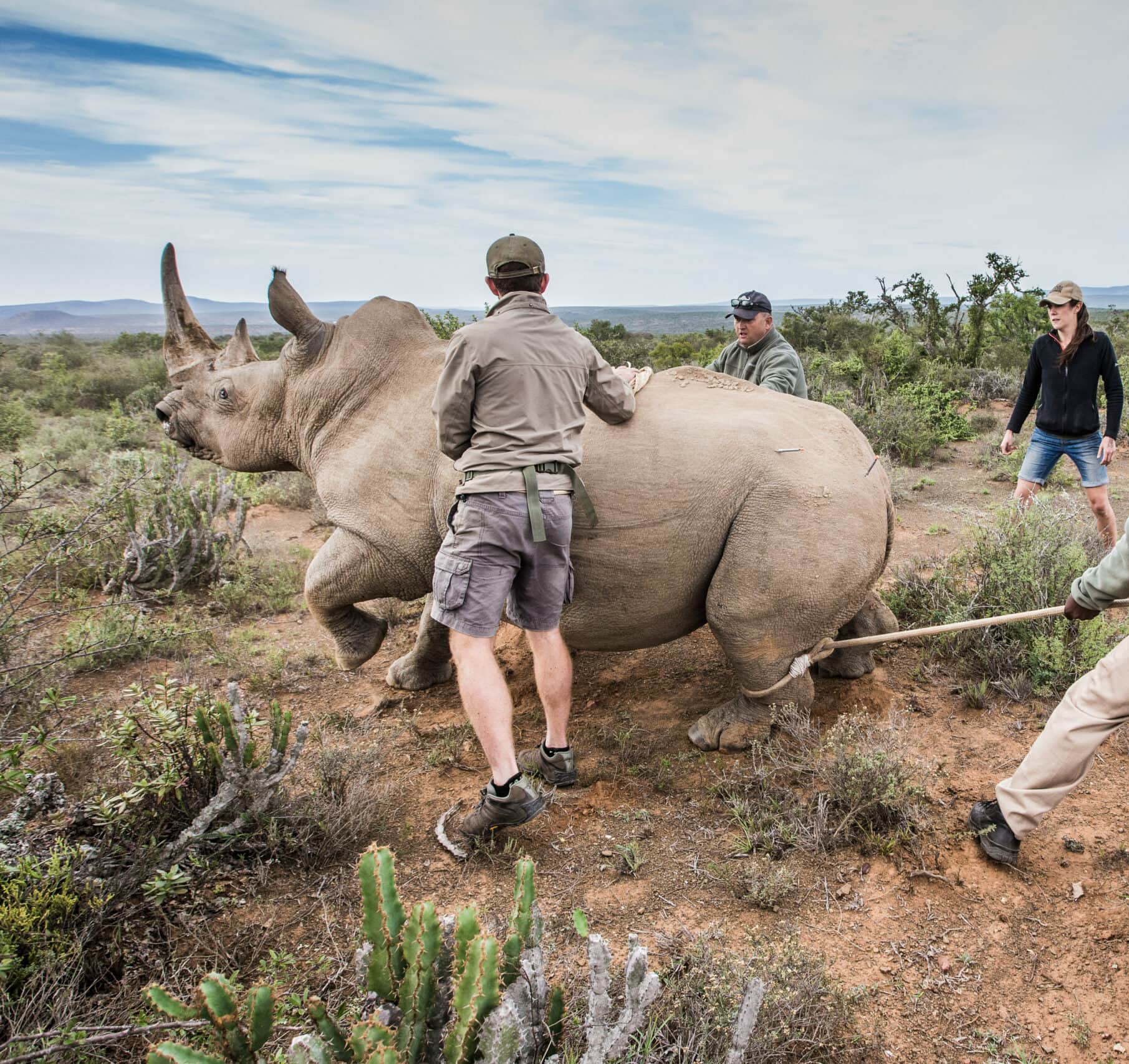 Kwandwe Game Reserve, South Africa