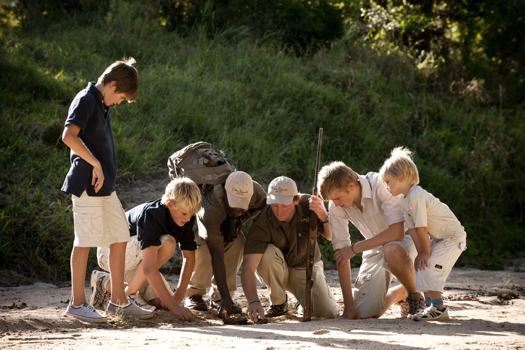 Sabi Sands, South Africa
