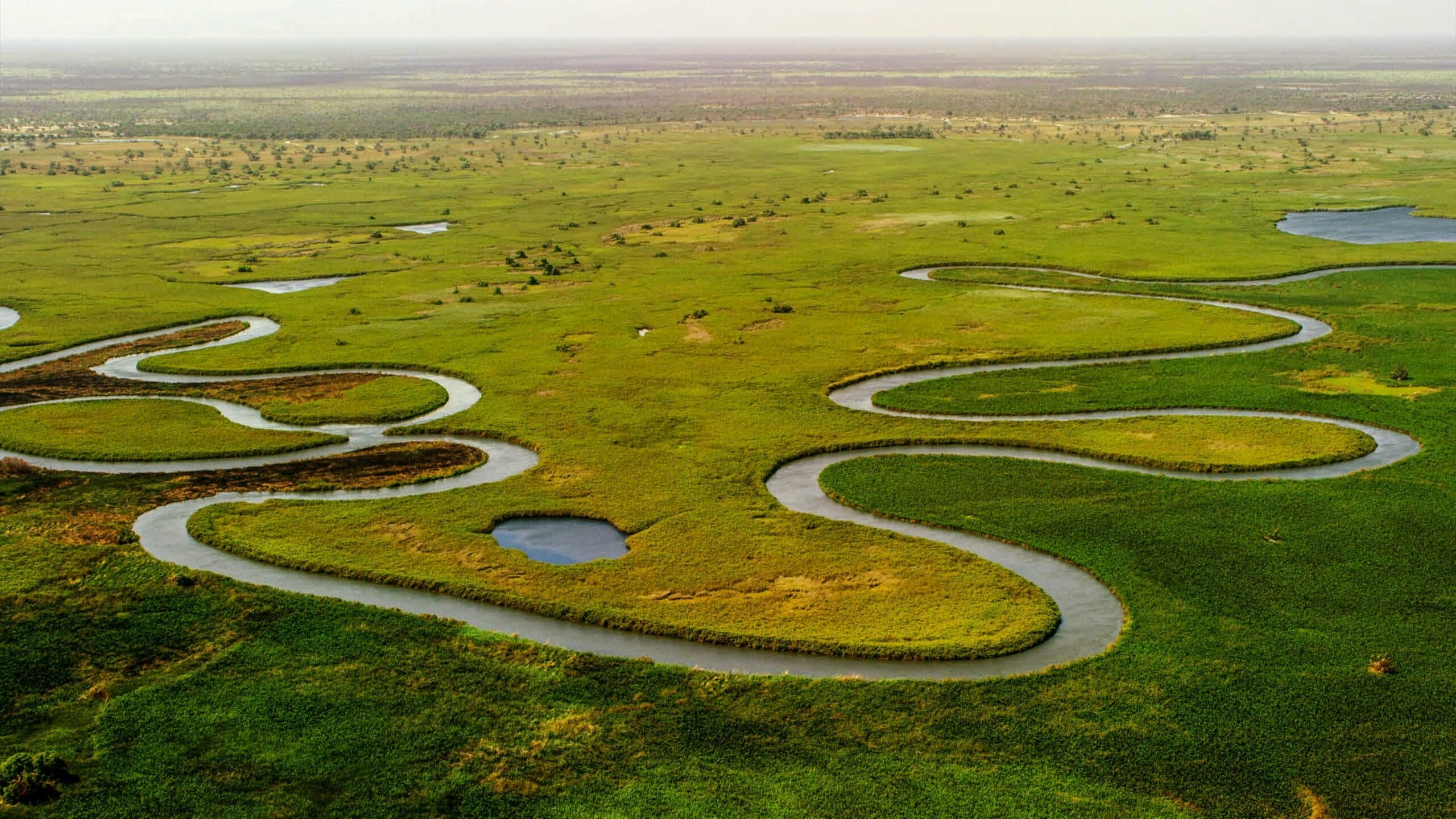 Okavango Delta, Botswana