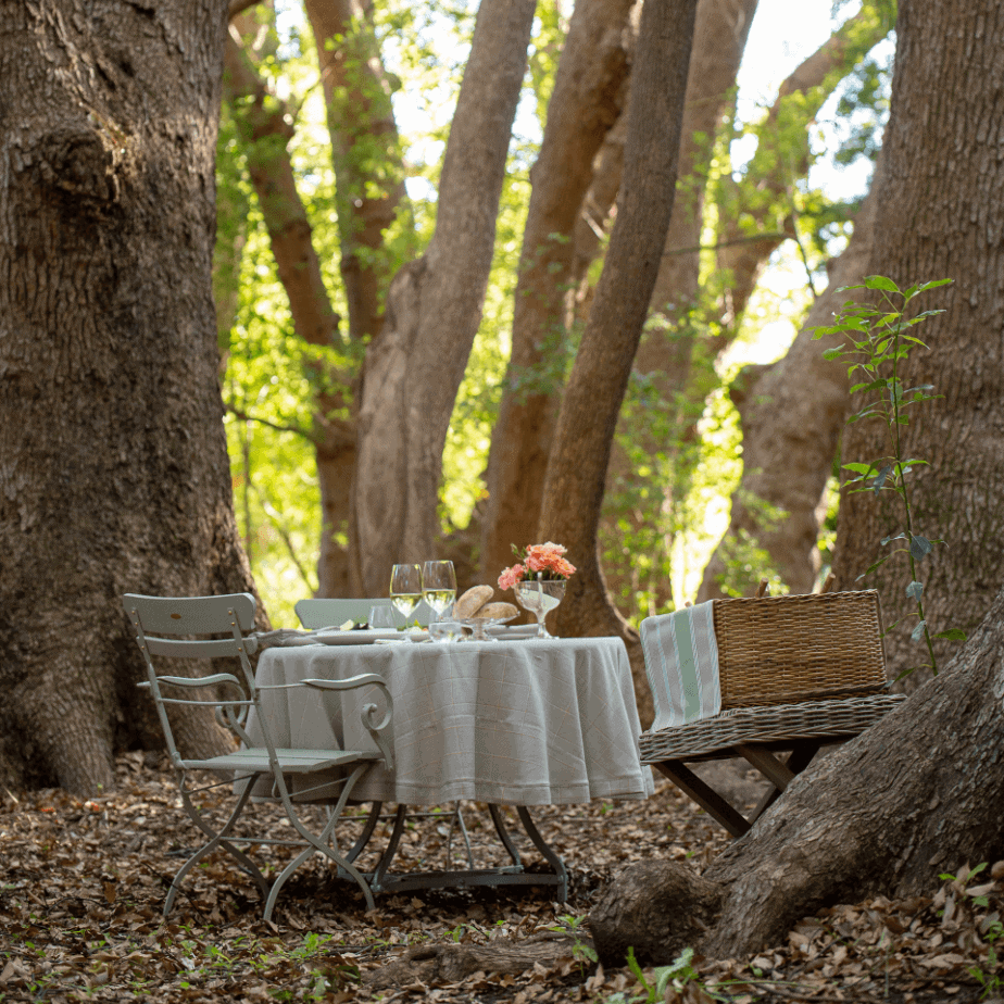 Picnics-at-Vergelegen