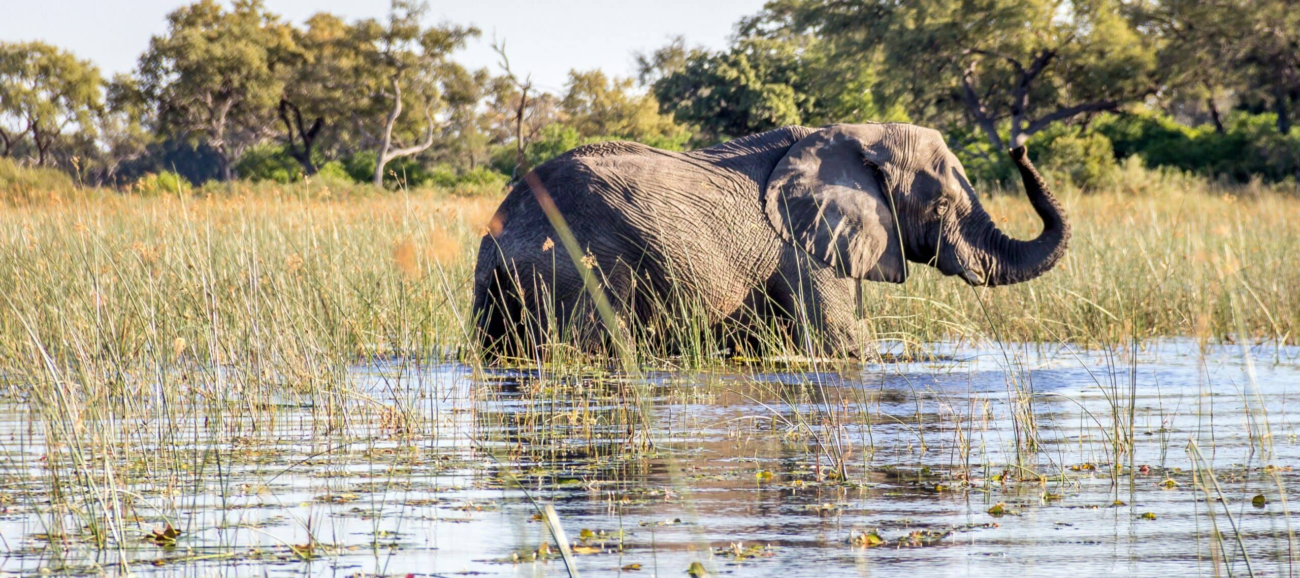 Featured Destinations 