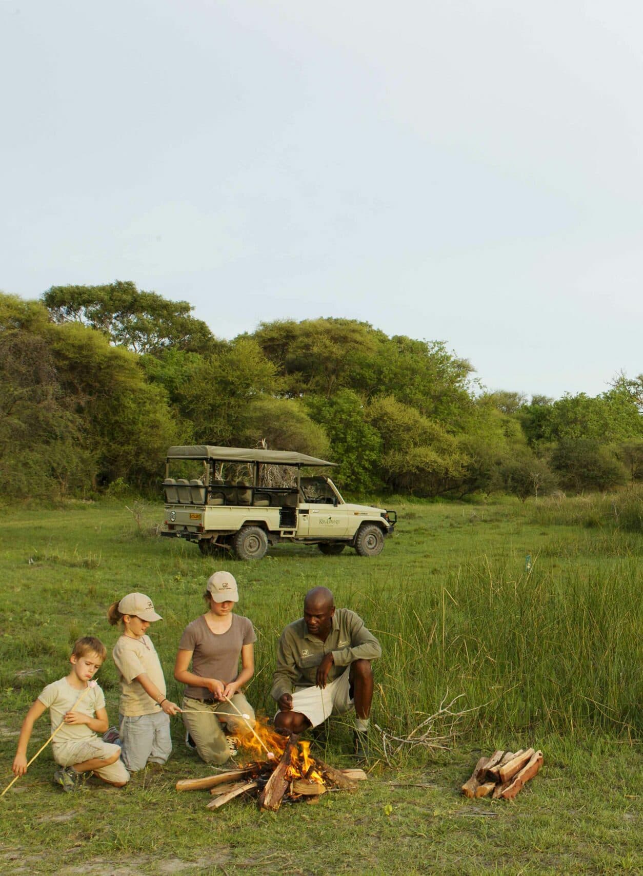 Sundowners TreeL 10877