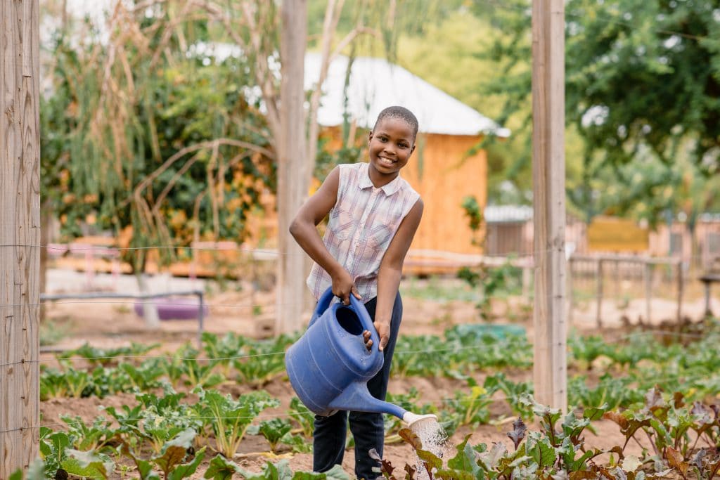 Kruger Community Interaction