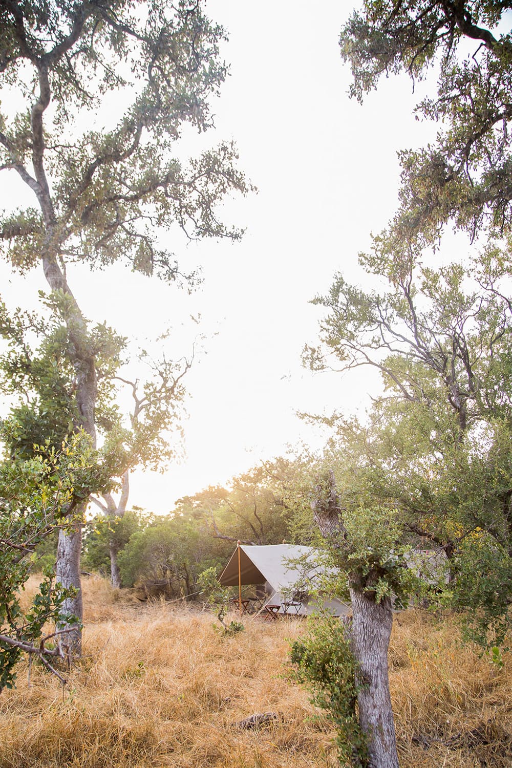 Tanda-Tula-Field-Camp-Explorer-tent