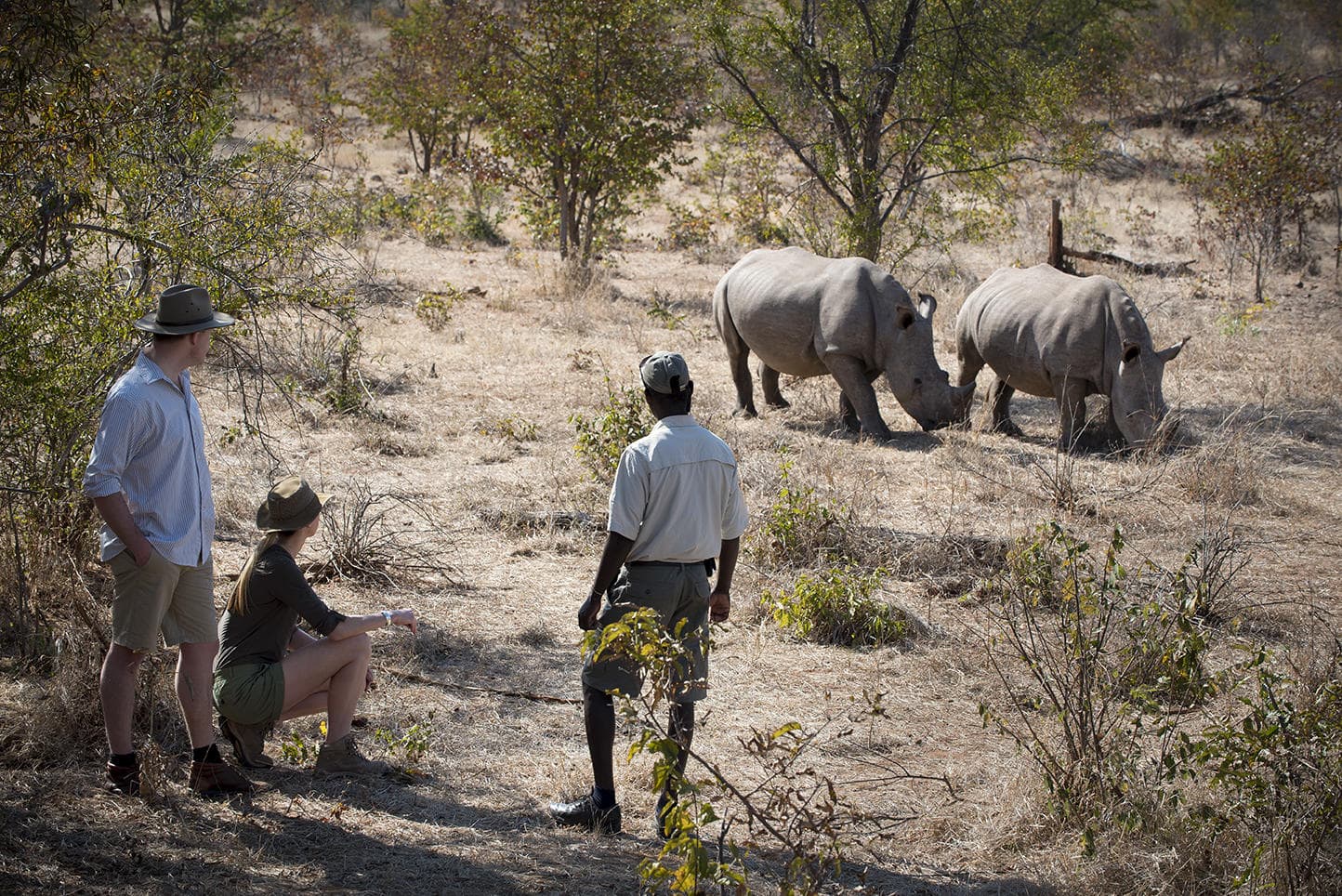 Lower Zambezi National Park, Zambia