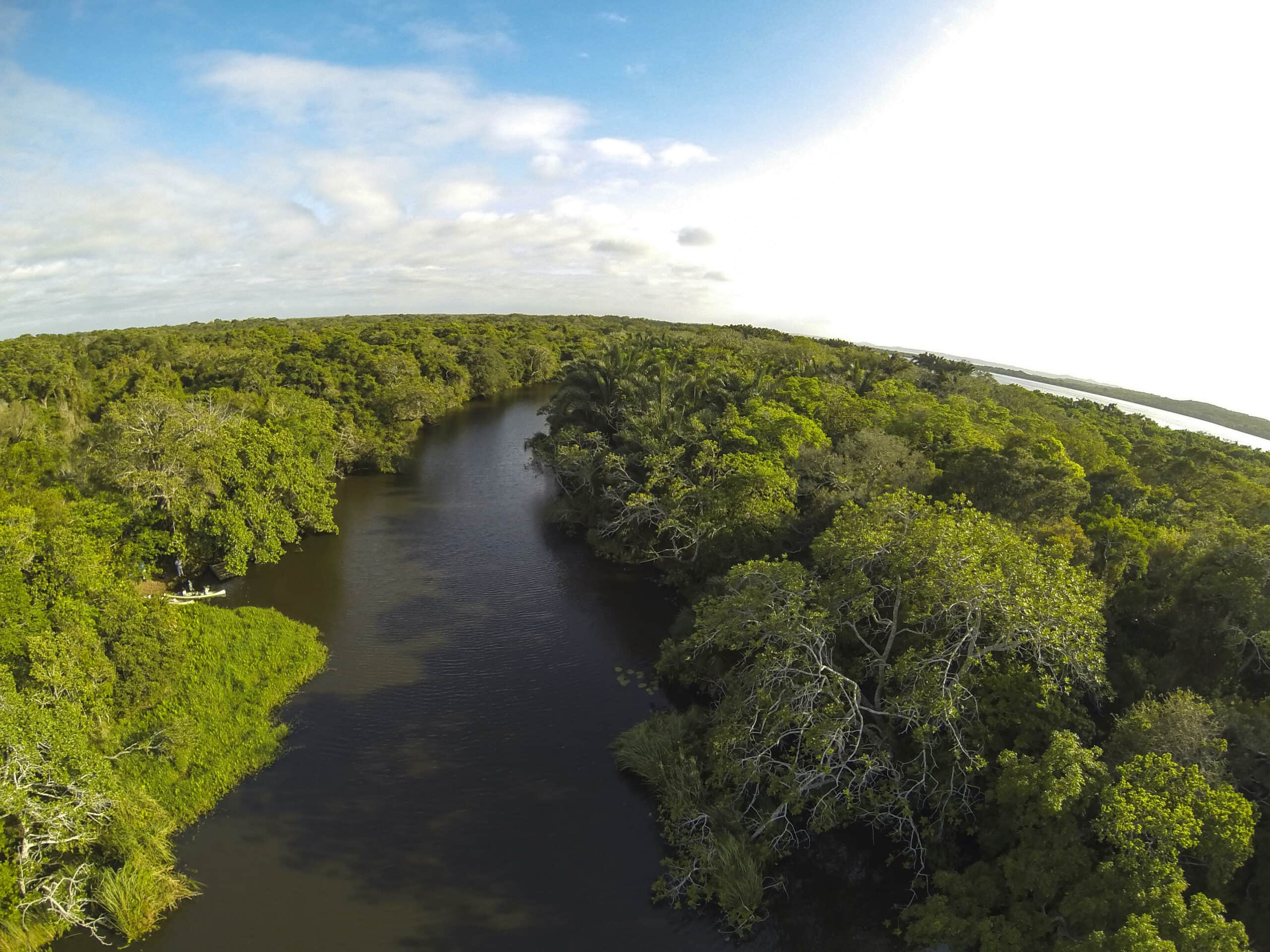 Waterways and Forests