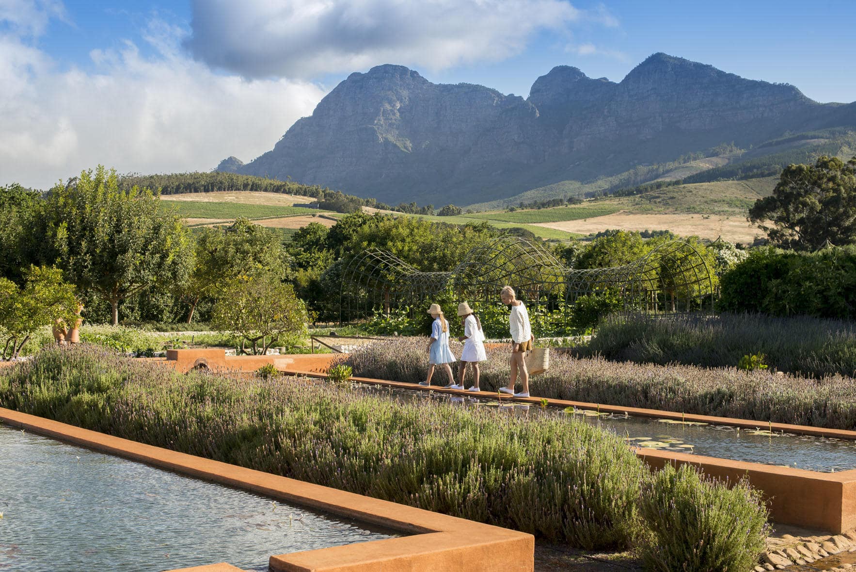 Guided Scintilla Winelands Family Adventure