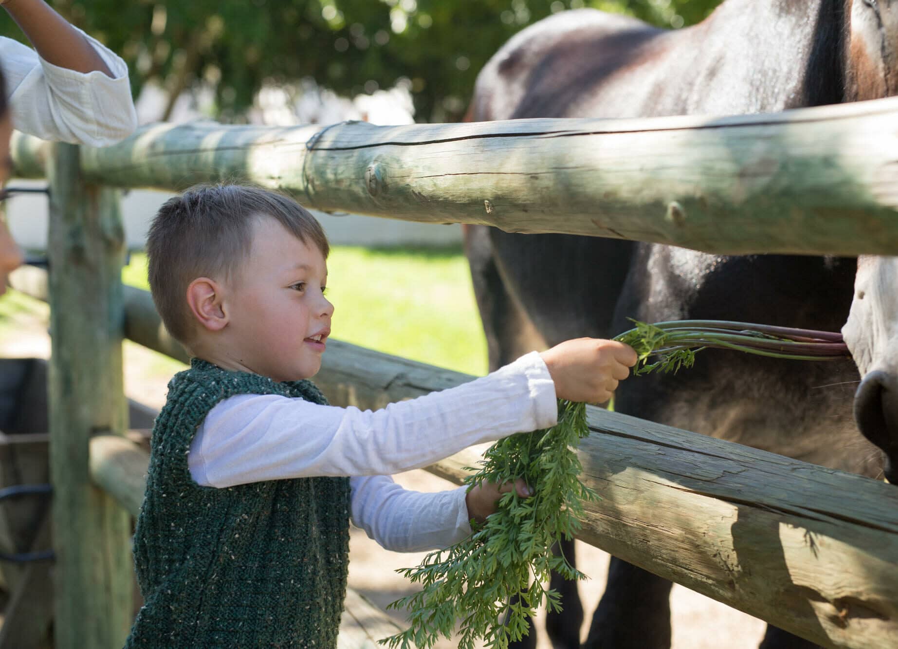 babylonstoren z73a92021