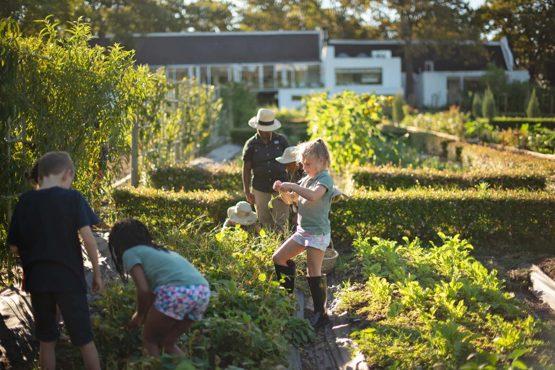 boschendal_031419_2257