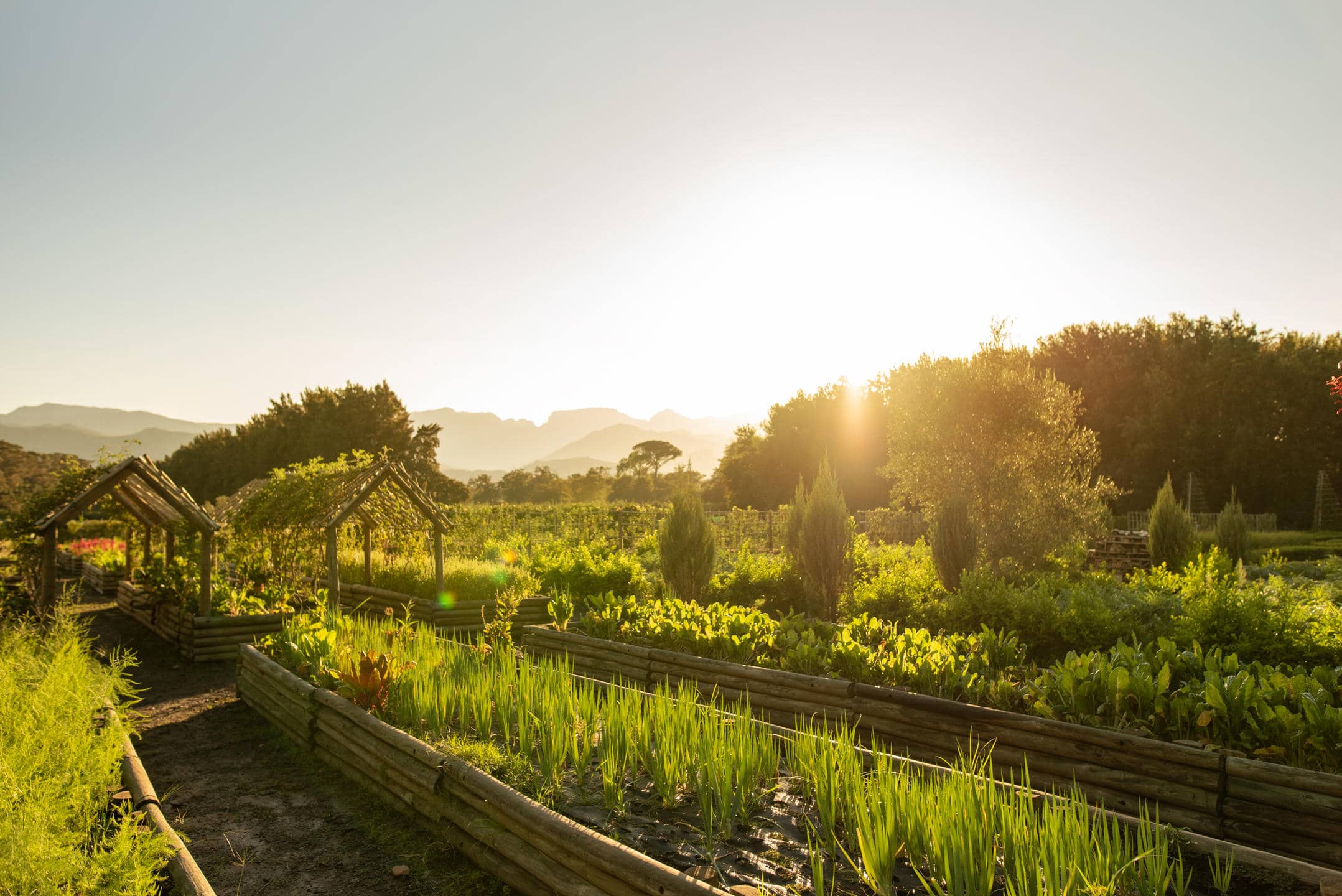 Franschhoek, Cape Town