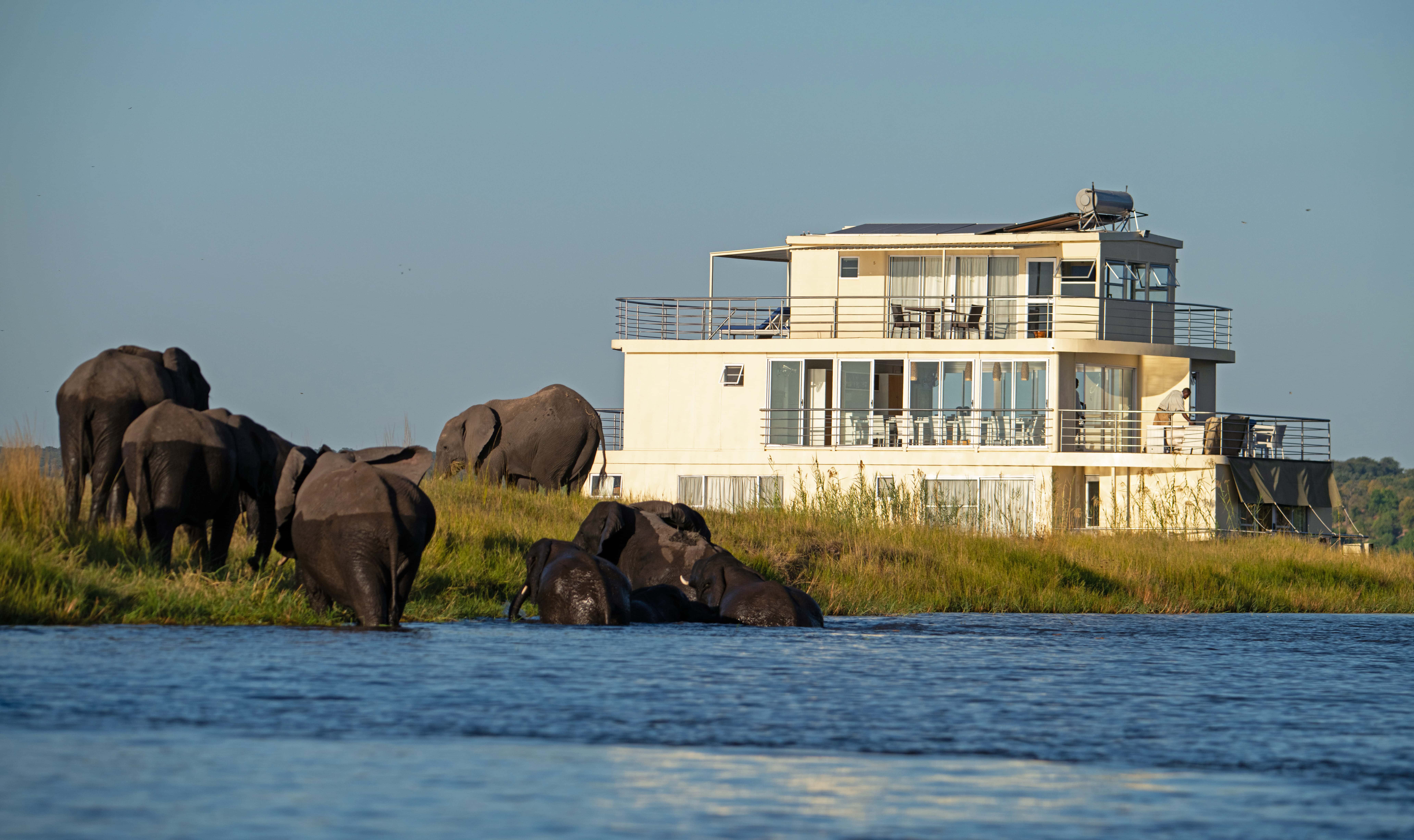 Chobe Princess Cruise
