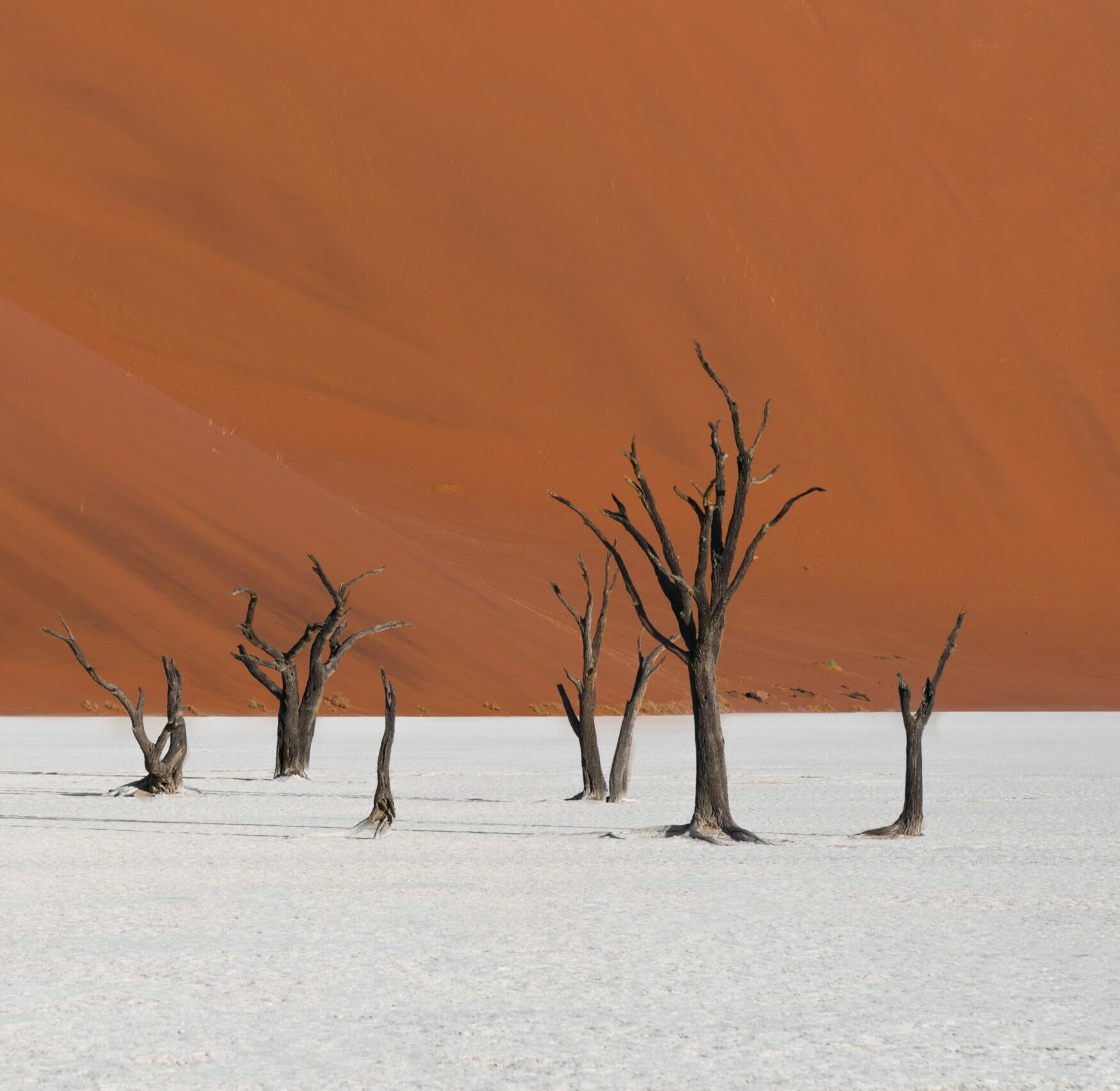 felipe-labate-MeDMTl7Lna0-unsplash