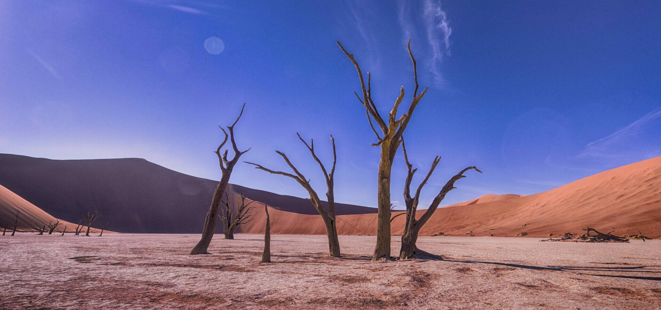 Featured Destinations 