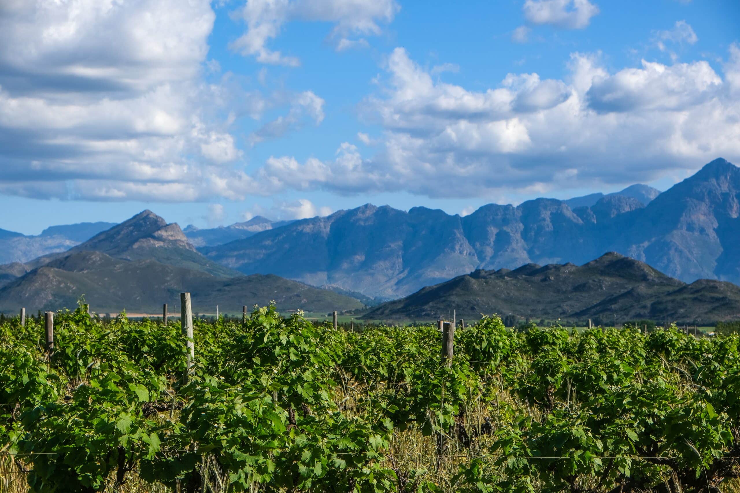 pexels-magda-ehlers-9890283