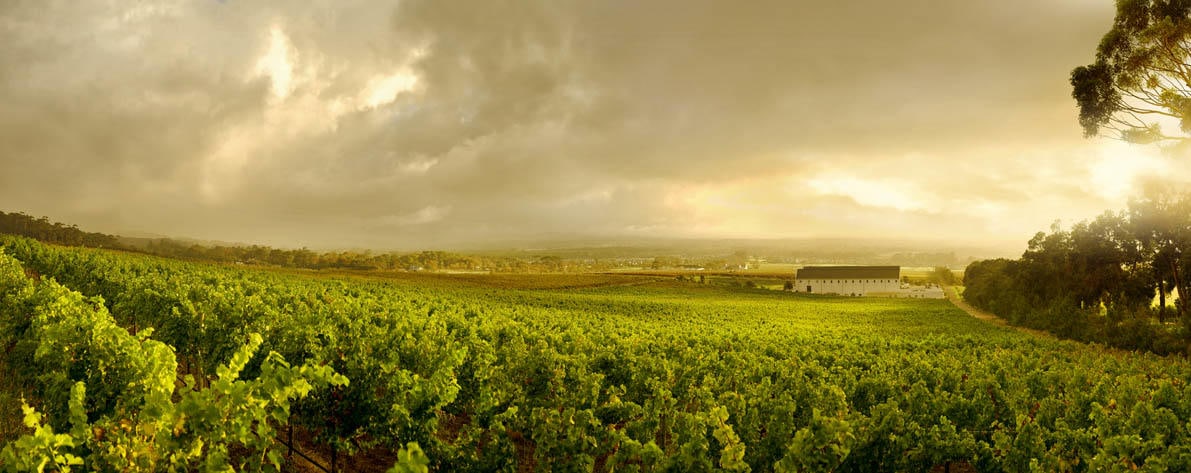 Cycle Constantia – a Hidden Jewel