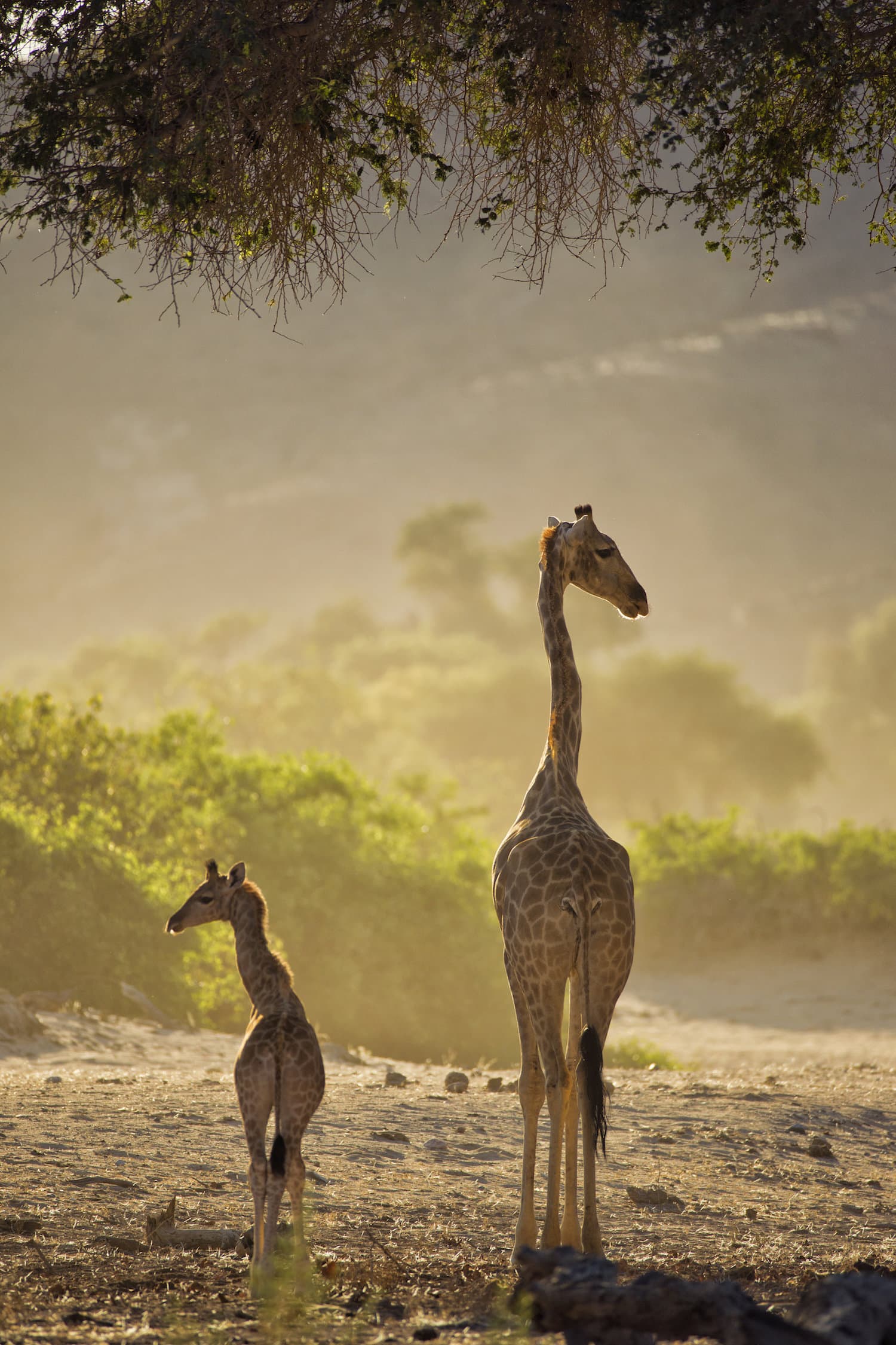 Hoanib River, Namibia