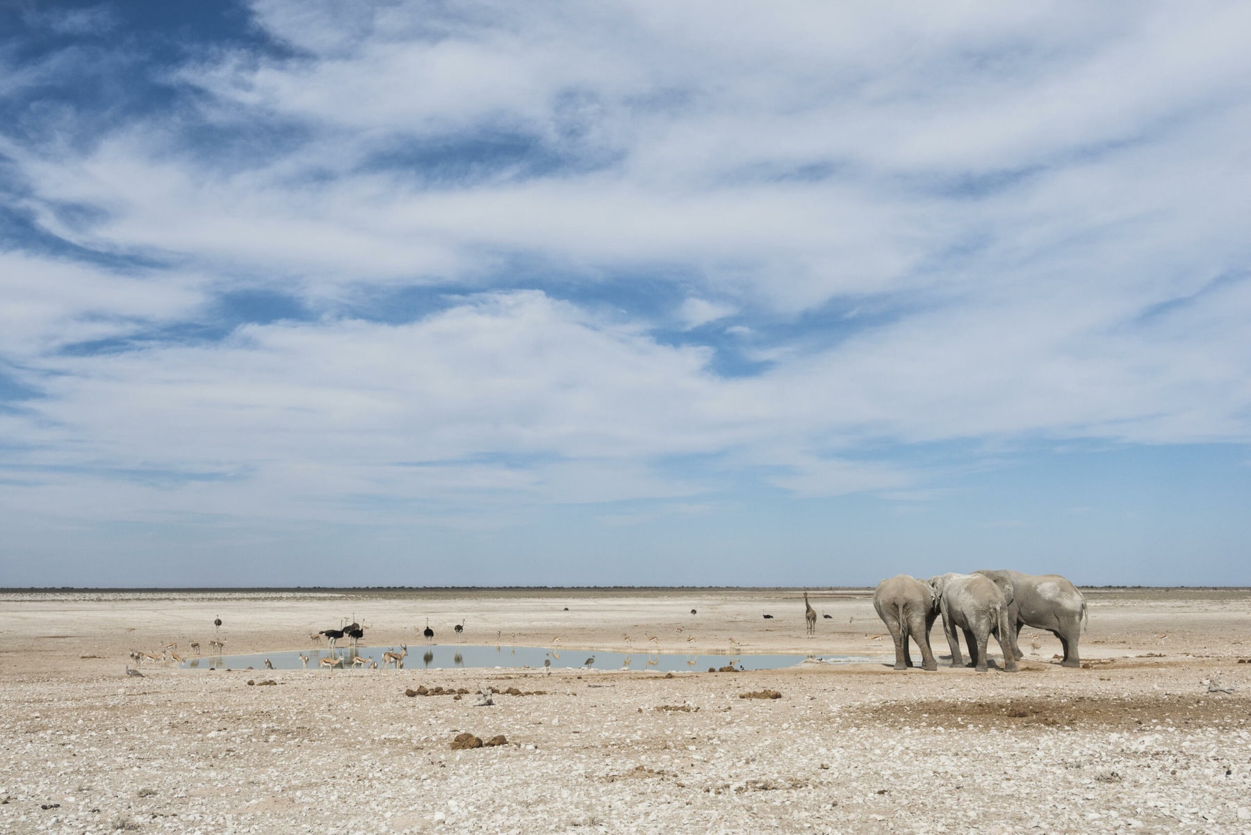 Etosha National Park, Namibia
