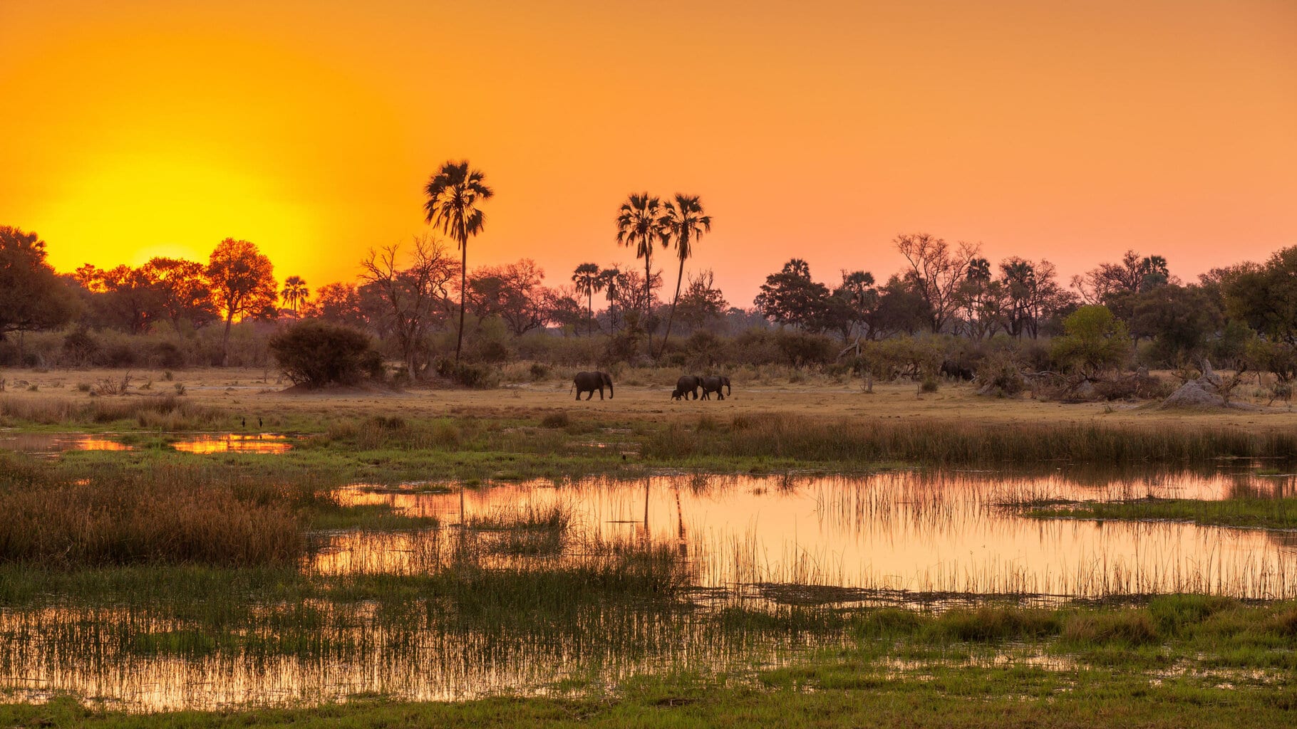 Okavango Delta, Botswana
