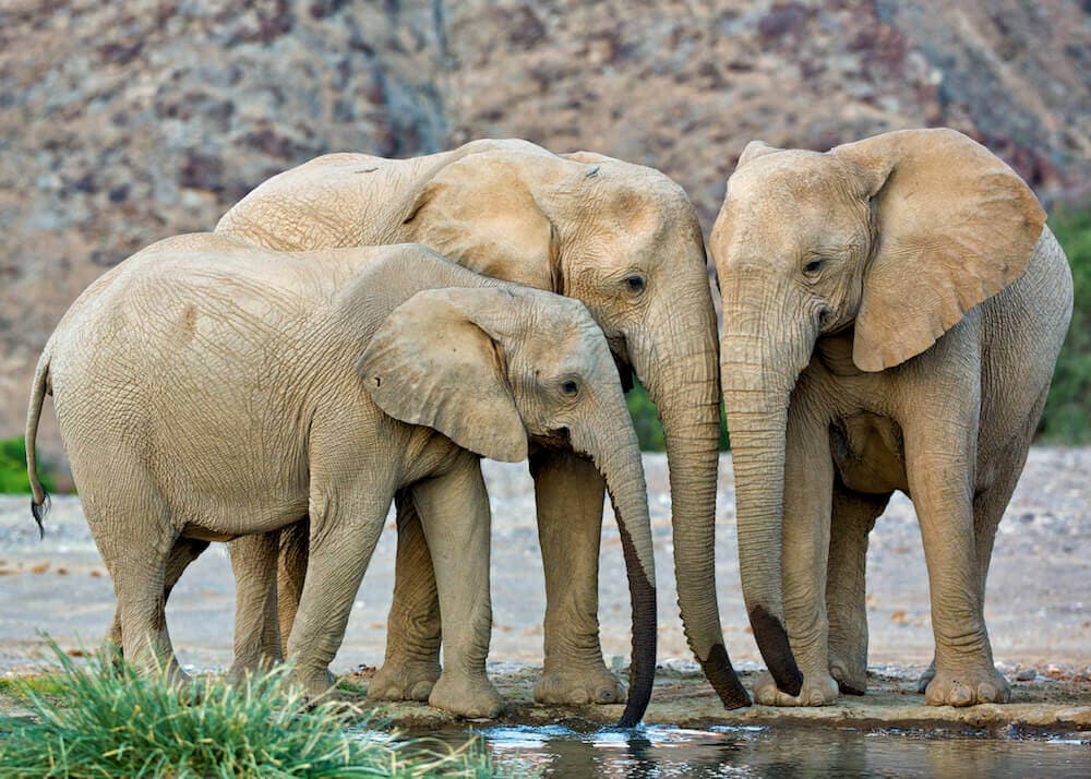 Hoanib River, Namibia