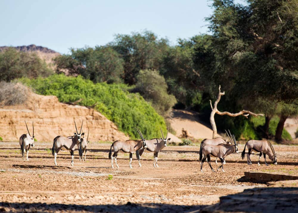 Hoanib River, Namibia