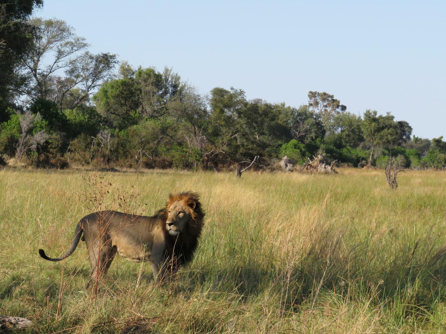 Okavango Delta, Botswana