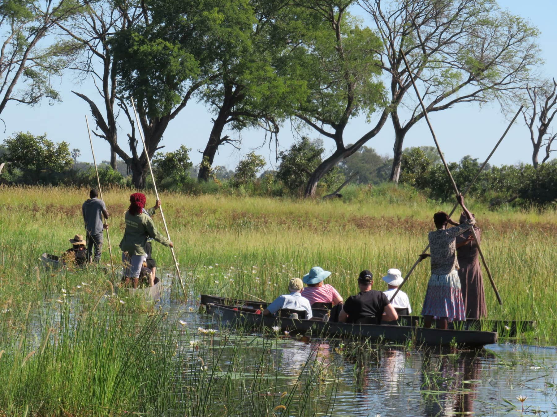 Okavango Delta, Botswana
