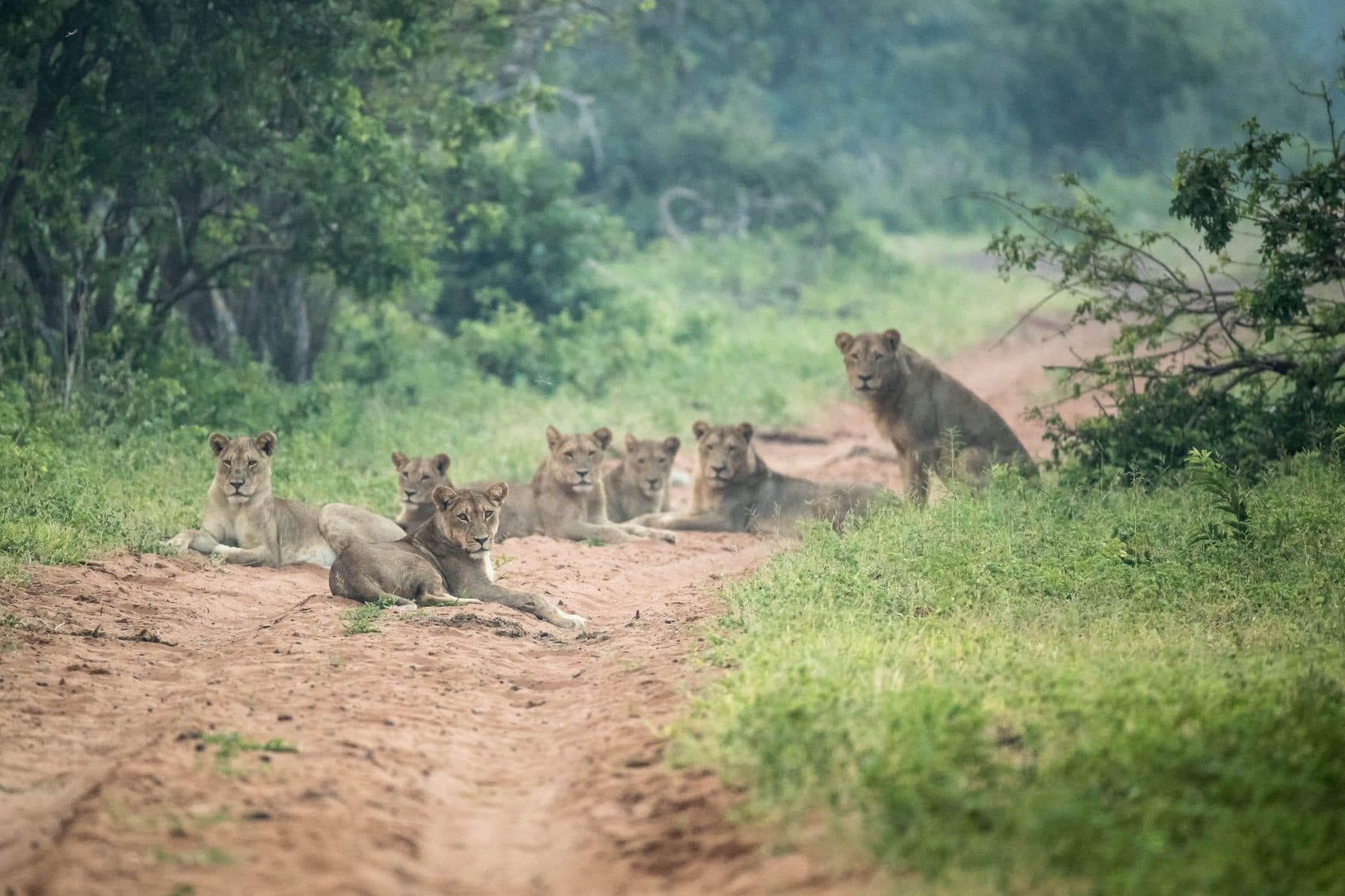 Chobe, Botswana