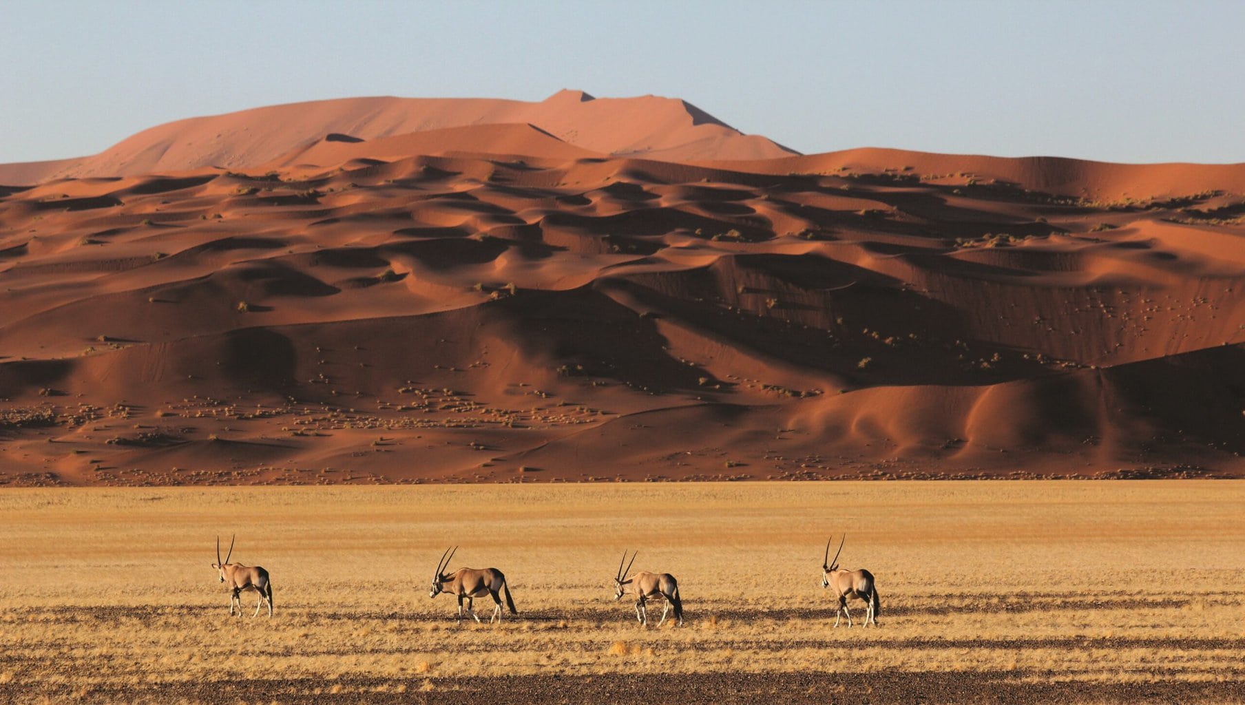 Sossusvlei, Namibia