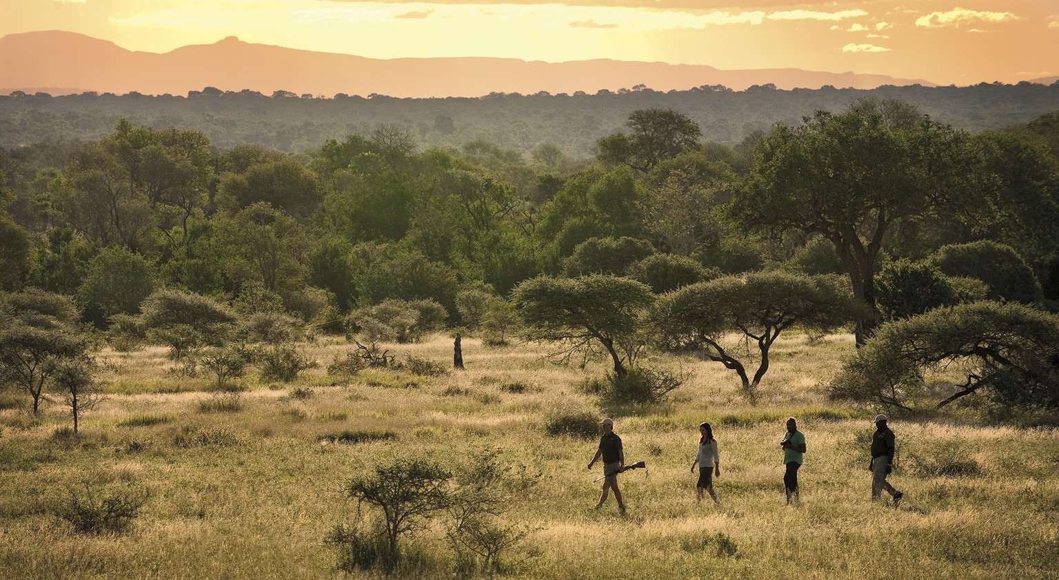 Sabi Sands, South Africa