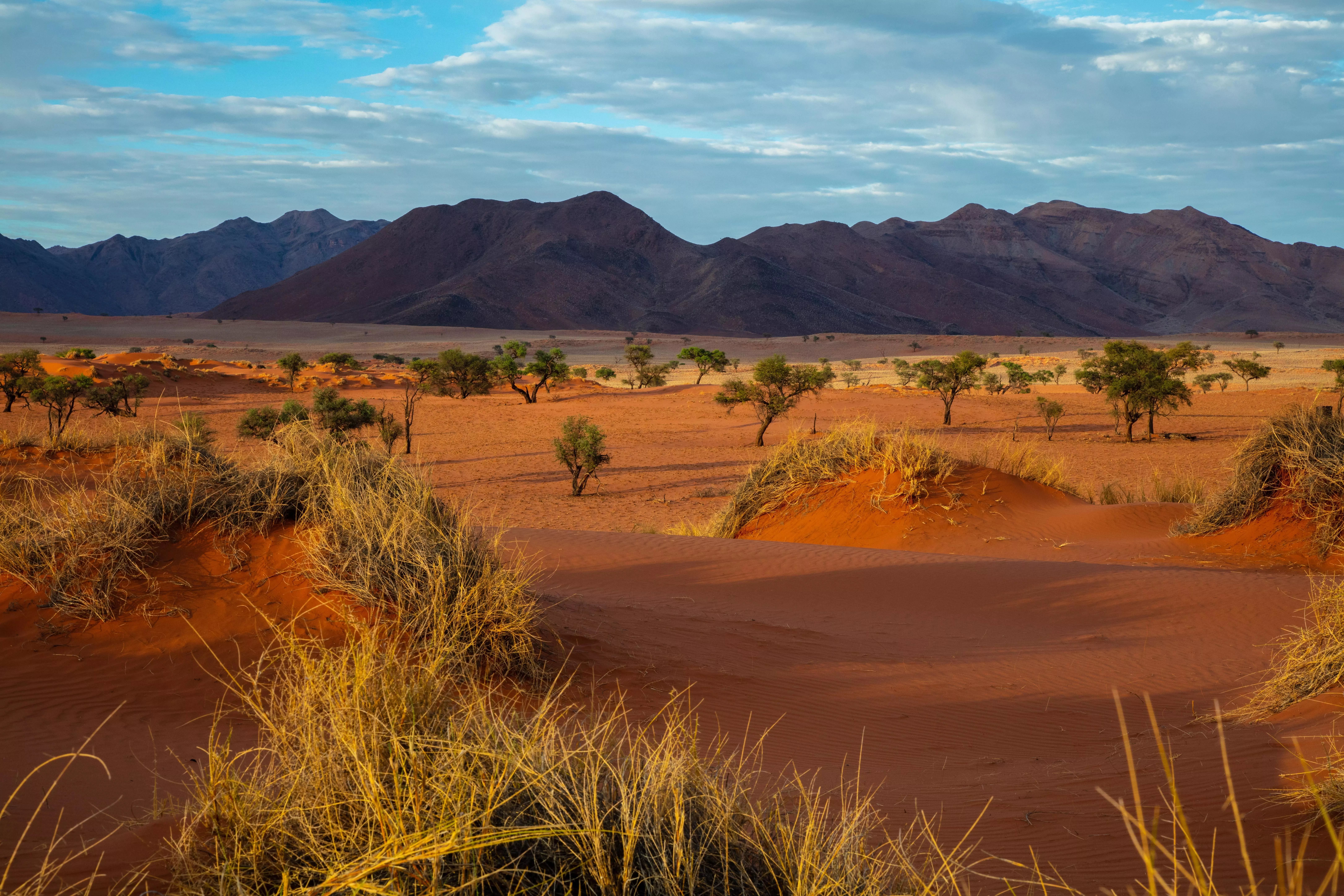 Sossusvlei, Namibia