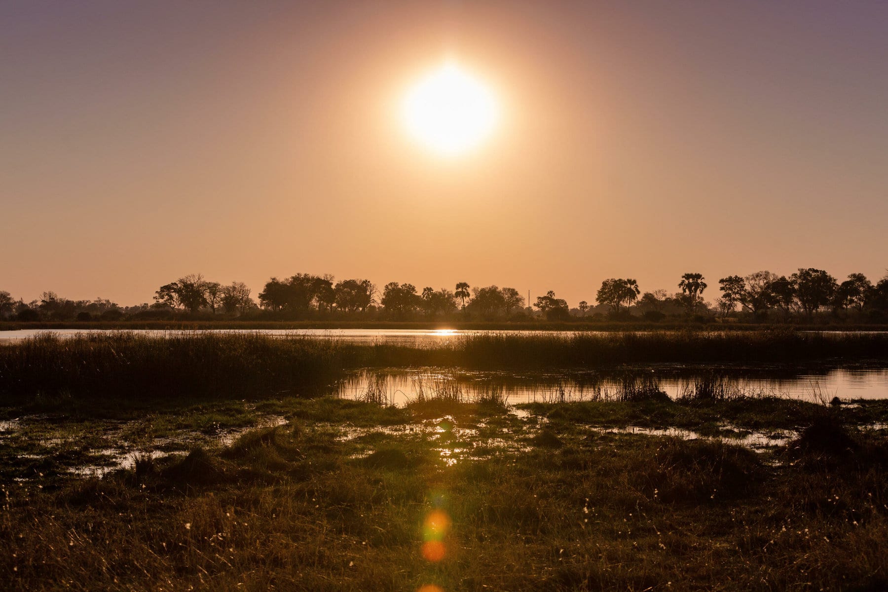 Okavango Delta, Botswana