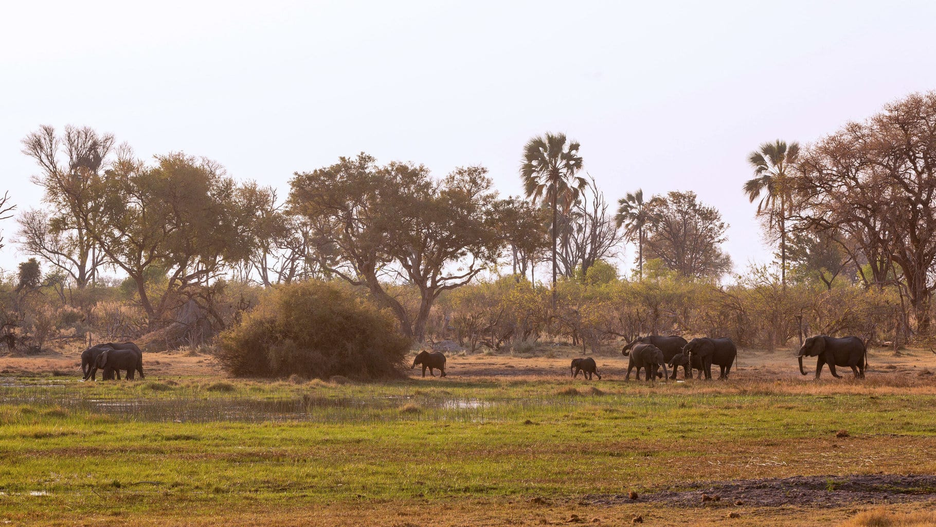 Okavango Delta, Botswana