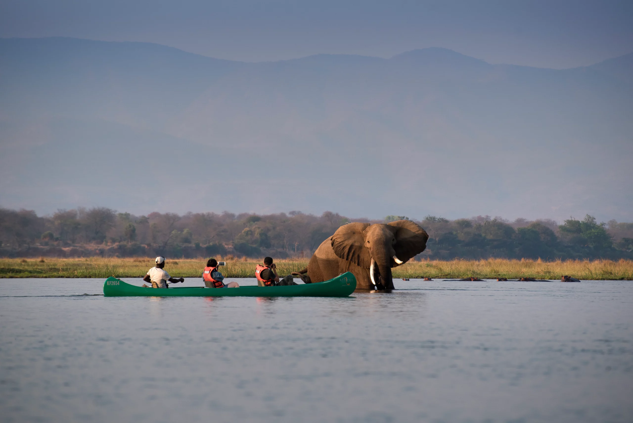 Mana Pools National Park, Zimbabwe