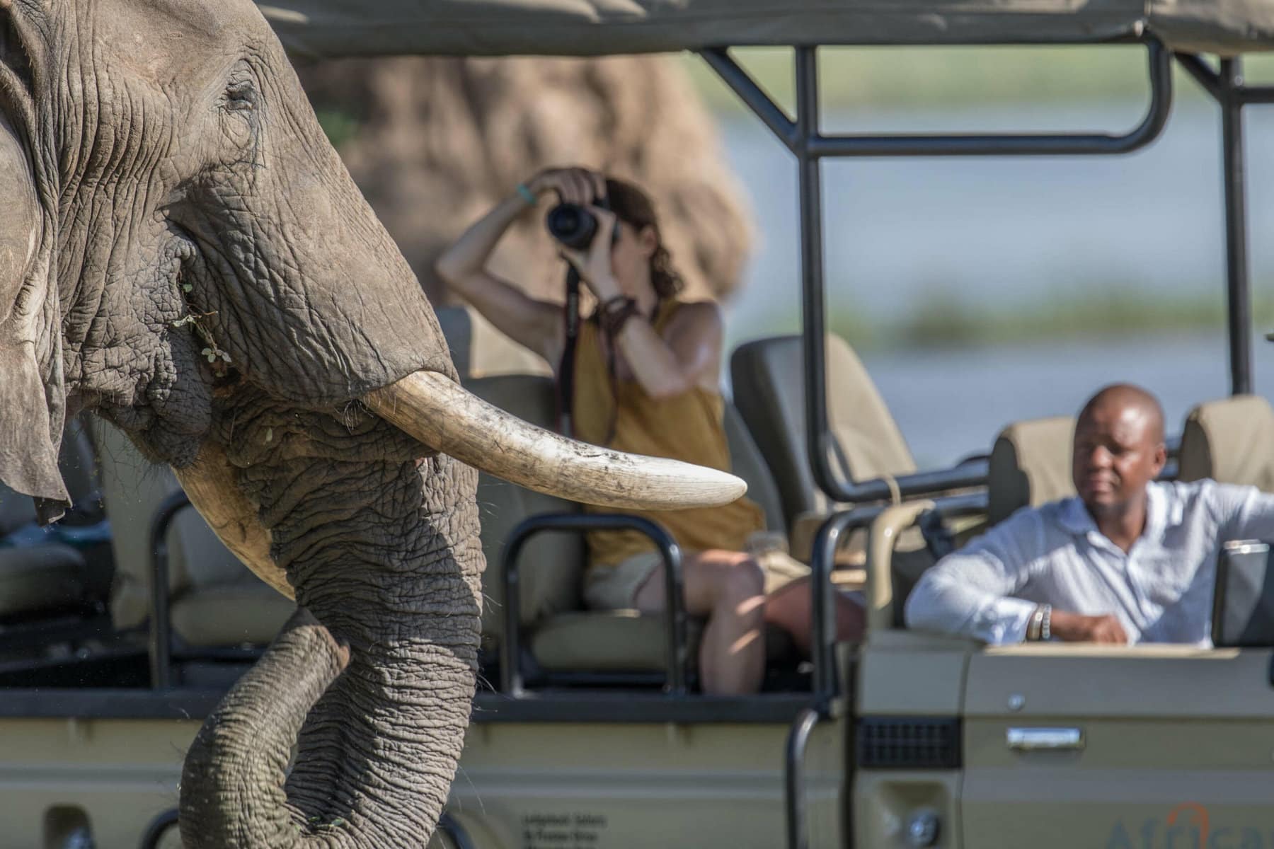 Mana Pools National Park, Zimbabwe