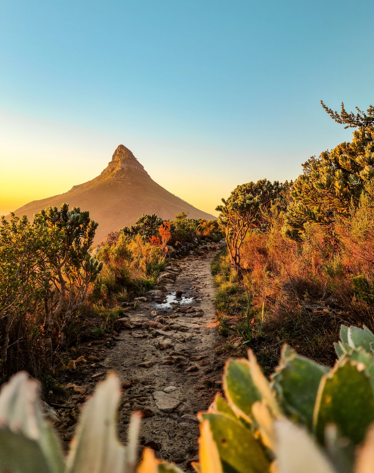 Cape Town, South Africa