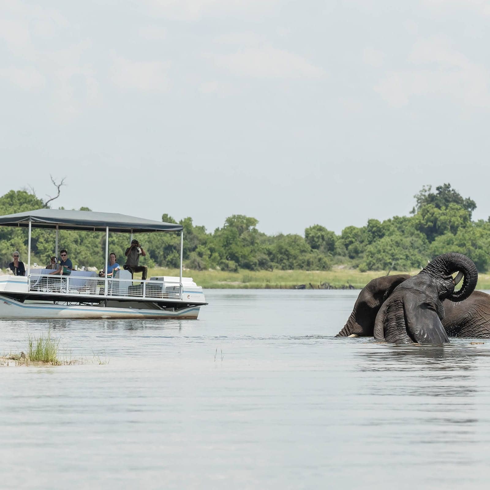Chobe, Botswana