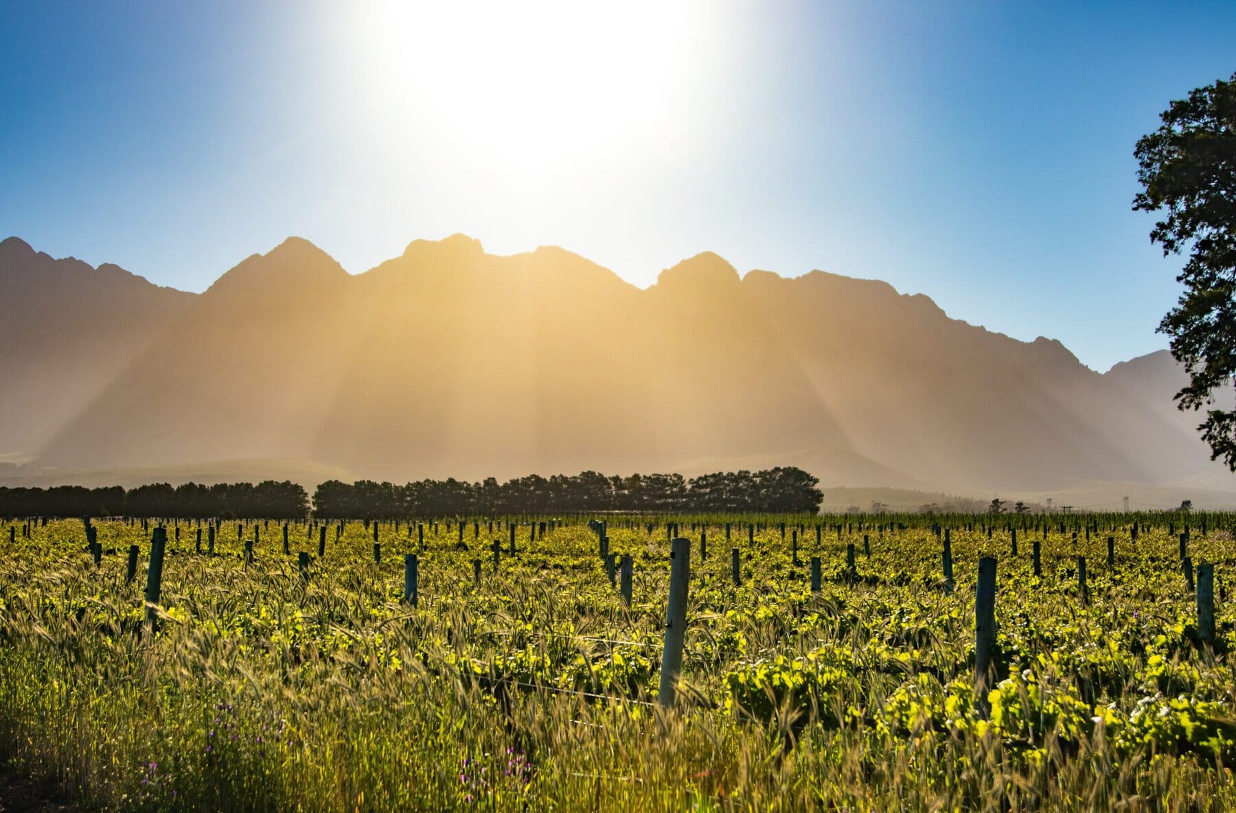 Cape Town, South Africa