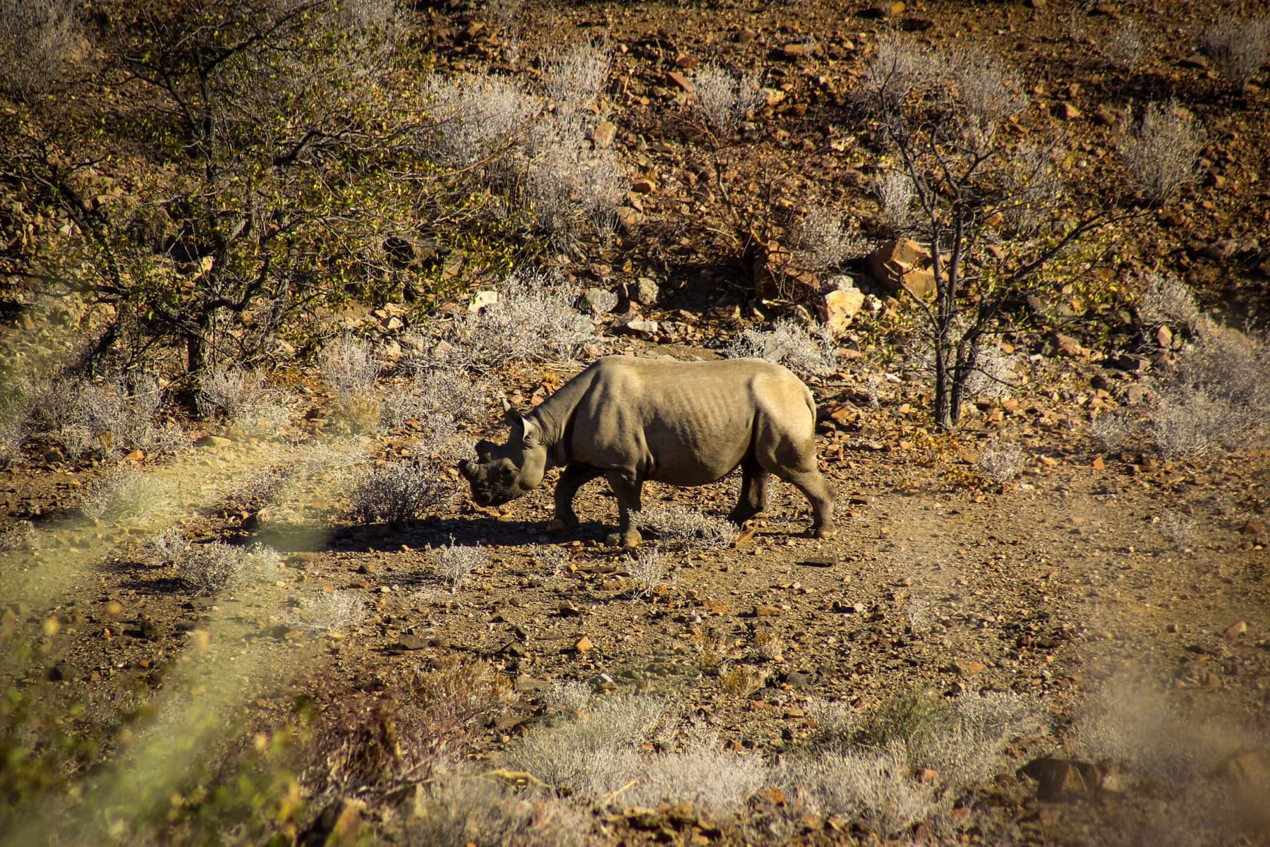 Damaraland, Namibia