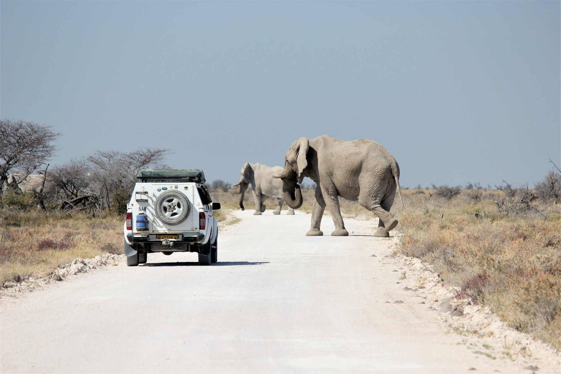 Etosha National Park, Namibia