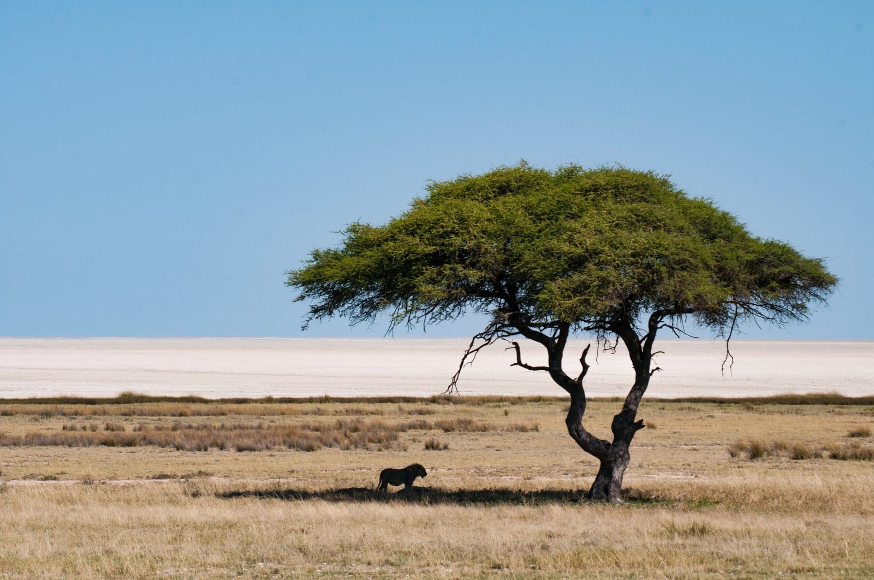 Around Etosha, Namibia